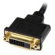 StarTech.com HDDVIMF8IN  HDMI/DVI-D