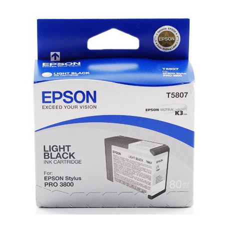 Epson Cartucho T580700 gris C13T580700