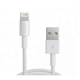 CABLE LIGHTNING IPHONE A USB 2.0