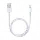 Apple Lightning  USB 0,5 m