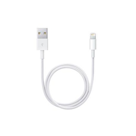 Apple Lightning  USB 0,5 m