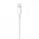 Apple Lightning  USB 0,5 m