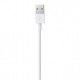 Apple Lightning  USB 0,5 m