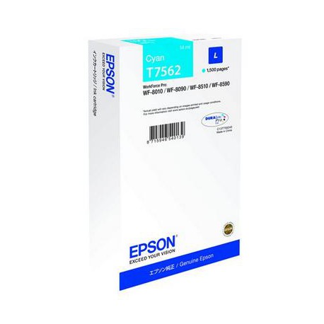 Epson T7562 C13T756240