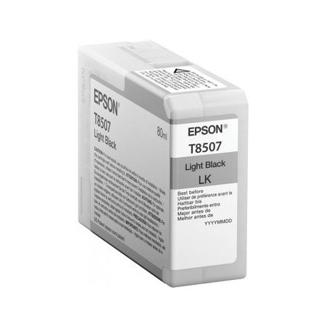 Epson T850700 C13T850700