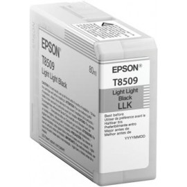 Epson T850900 C13T850900