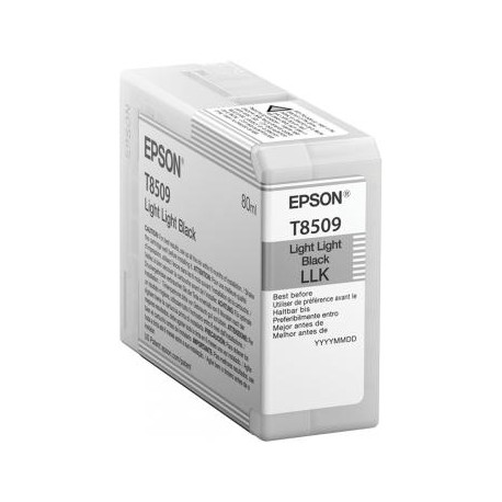 Epson T850900 C13T850900