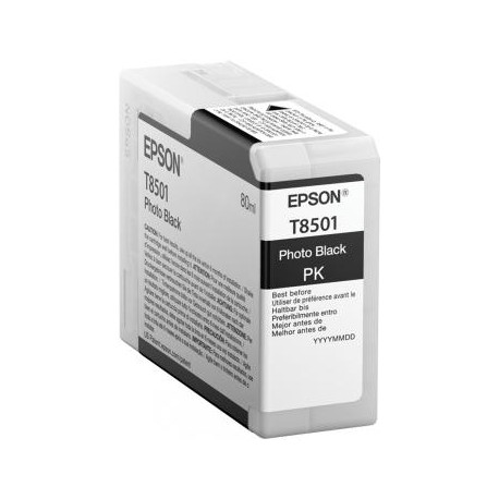 Epson T850100 C13T850100