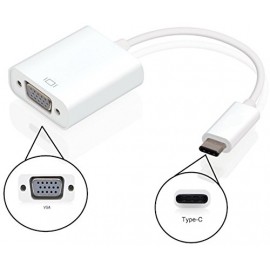 Ewent EW-139500-001-N-P USB Type C VGA Blanco