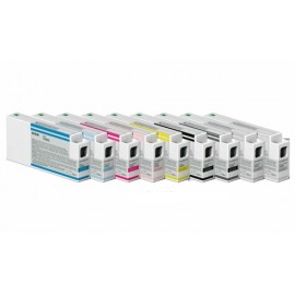 Epson T800800 Negro C13T800800