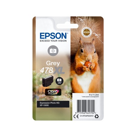 Epson C13T04F64010 Gris