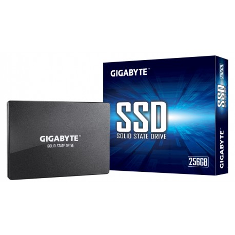 Gigabyte GP-GSTFS31256GTND 2.5'' 256 GB Serial ATA III V-NAND