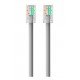 Belkin RJ45 1m Cat6 Gris A3L981BT01M-H-S