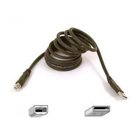 CABLE USB BELKIN PRO SERIES M-M 1.8M F3U133B06