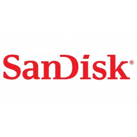 Sandisk SDCZ460-128G-G46 memoria flash 128 GB