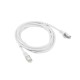 Lanberg PCF6-10CC-0300-W cable de red 3 m Cat6 F/UTP (FTP) Blanco