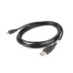 Lanberg CA-USBK-10CC-0018-BK cable USB 1,8 m 2.0 Mini-USB A USB A