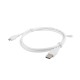 Lanberg CA-USBM-10CC-0010-W USB 1 m 2.0 Micro-USB A USB A Blanco