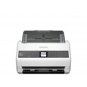 Epson DS-730N 600 x 600 DPI  Negro - b11b259401