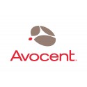 Vertiv Avocent SCNT-1YGLD-A-100PK