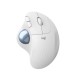 Logitech Ergo M575 ratón mano derecha RF inalámbrica + Bluetooth Trackball 2000 DPI 910-005870