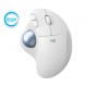 Logitech Ergo M575 ratón mano derecha RF inalámbrica + Bluetooth Trackball 2000 DPI 910-005870