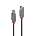 Lindy 36744 cable USB 5 m USB 3.2 Gen 1 (3.1 Gen 1) USB A USB B Negro