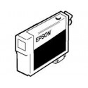 Epson Cartucho SJIC10P C33S020411