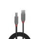 Lindy 36673 cable USB 2 m USB 2.0 USB A USB B Negro