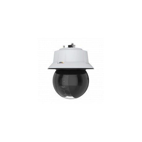 Axis Q6315-LE 50 Hz Cámara de seguridad IP Interior y exterior Almohadilla 1920 x 1080 Pixeles Pared - 01924-002