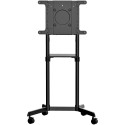 StarTech.com Carrito para TV - Soporte Rodante VESA para TV de 37 a 70''