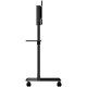 StarTech.com Carrito para TV - Soporte Rodante VESA para TV de 37 a 70''