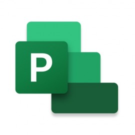 Microsoft Project Standard 2021 Completo 1 licencia(s) Plurilingüe