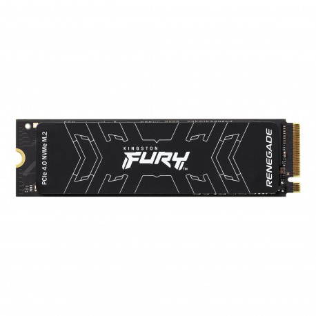 Kingston Technology FURY Renegade M.2 1000 GB PCI Express 4.0 3D TLC NVMe - sfyrs/1000g