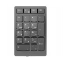 Lenovo 4Y41C33791 teclado numérico Universal RF inalámbrico Gris