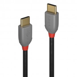 Lindy 36873 cable USB 3 m USB 2.0 USB C Negro, Gris