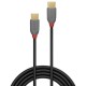 Lindy 36872 cable USB 2 m USB 2.0 USB C Negro, Gris