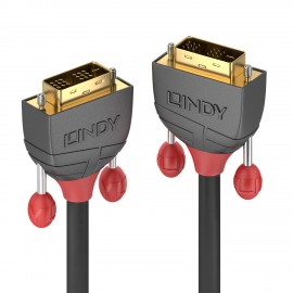 Lindy 36241 cable DVI 15 m DVI-D Negro