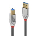 Lindy 36661 cable USB 1 m USB 3.2 Gen 1 (3.1 Gen 1) USB A USB B Cromo, Gris