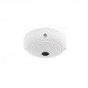 Mobotix MX-Q26B-6D016 cámara de vigilancia Cámara de seguridad IP