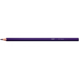 BIC 9641481 lápiz de color 24 pieza(s)