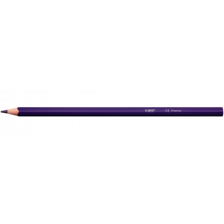 BIC 9641481 lápiz de color 24 pieza(s)