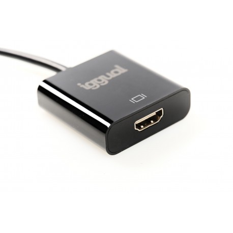 iggual IGG318041 adaptador de cable de vídeo 0,25 m DisplayPort HDMI Negro