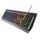 GENESIS RHOD 300 RGB teclado USB Negro