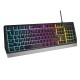 GENESIS RHOD 300 RGB teclado USB Negro