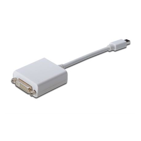 ASSMANN Electronic mini DP - DVI-D, 0.15m 0,15 m mini DisplayPort Blanco - AK-340406-001-W