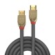 Lindy 37603 cable HDMI 3 m HDMI tipo A (Estándar) Gris