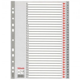 Esselte Plastic indexes - 100108