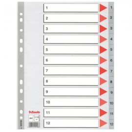 Esselte Plastic indexes - 100106