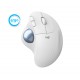 Logitech ERGO M575 for Business ratón mano derecha Bluetooth Trackball 2000 DPI